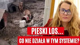 Koniec PATOSCHRONISK? Posłanka KO zdradza propozycje zmian w prawie. 