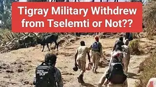 Tigray Military Withdrew from Tselemti or Not?