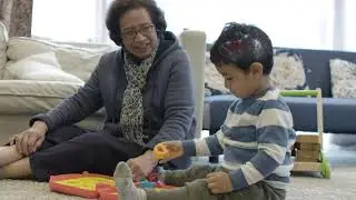 Building Brains