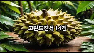 고린도전서14장(성경통독 하루세장)/성경읽기/성경듣기/매일 업데이트