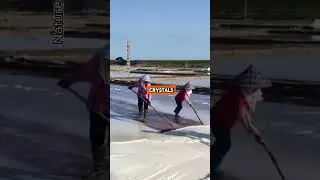 A Unique Process! Natural Salt Made This Way! #shorts #naturalsalt #traditional