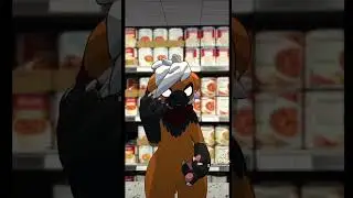 LISTEN OK, THERE WAS A GOOD DEAL #furry #vrchat #vrc #duet #skit #vrchatstreamer #furries
