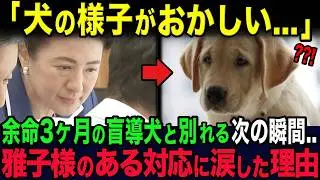 残り3ヶ月の盲導犬と別れる次の瞬間...雅子様が取ったある行動に世界が驚愕..