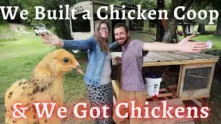 We built a Chicken Coop (recycled materials) and got 8 chickens! // June 29 2021
