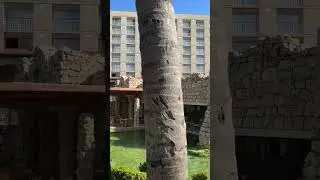 Hyatt Regency Resort, Spa & Casino