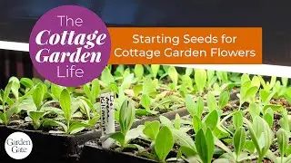 🌱Starting Seeds for Cottage Garden Flowers | The Cottage Garden Life | Bochner Farms #cottagegarden