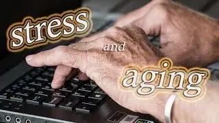 Stress and Aging