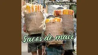 Sacos de Maiz