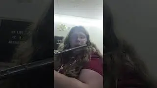 blank space flute cover