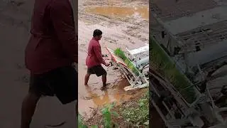 Rice paddy  transplant or machine Ap40| धान रूपाई करने वाला य॓त्र #rice #short #view #viralvideo