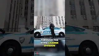 NYC Gun Laws  Out of State Permits DON'T Work Here!