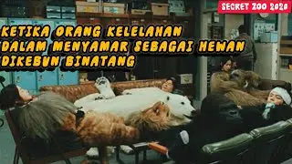 tehnik penyamaran paling sempurna, namun diluar nalar manusia !!! alur cerita film Korea Selatan
