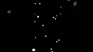 Petals Falling Overlay Black Screen Effect #shorts #overlay #blackscreen