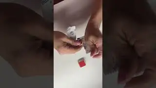 Zuru Mini Brands Home
