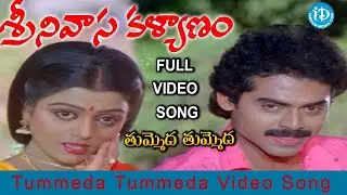 Srinivasa Kalyanam Songs Tummeda Tummeda Video Song Venkatesh Bhanupriya | iDream Kadapa