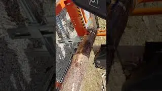 NORWOOD'S MAX HD38 FIRST CUT
