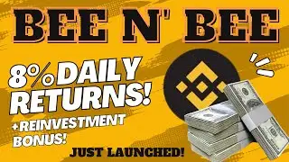 BEEKEEPING MINER | BUSD Pool Review (EARN 8% DAILY ROI!!!)