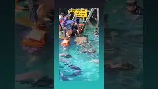 sibadan fish cage  resort, hinatuan surigao del sur