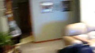 BIG BAT ENTERS MY HOUSE  MUST SEE!! 12