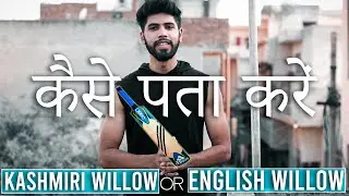 How To Identify English Willow And Kashmiri Willow Cricket Bat