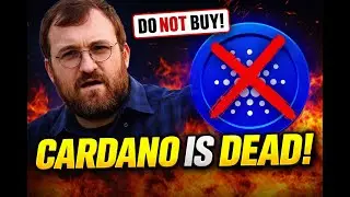 Cardano (ADA) Explained: Why the Hype Never Became Reality
