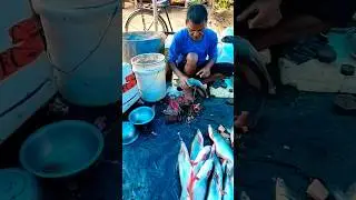 BAKER FISH CUTTING || MOST POPULAR FISH #fishcutting #fish #viral
