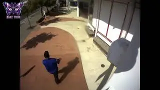 Arecont 3 Camera 1