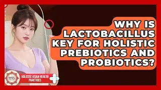 Why Is Lactobacillus Key For Holistic Prebiotics And Probiotics? - Holistic Asian Health Practices