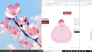 Supreme 2 BOX LOGO LIVE COP FW19!