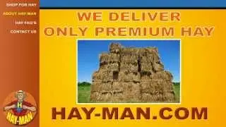 Hay For Sale
