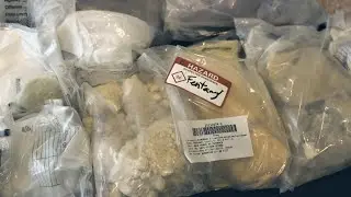 YRP Seize Seven Kilograms of Raw Fentanyl in Project Chatter