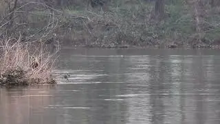 Relaxing On The American River On A Rainy Day