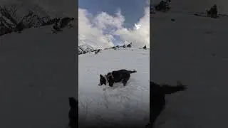Une skieuse d&eacute;clenche une avalanche et &eacute;chappe de peu &agrave; la mort dans une station de ski d'Andorre !