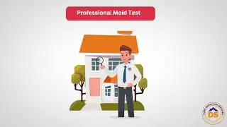DS Home Inspection Services - Mold Inspection