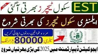 Federal Directorate of Education Elementary School Teacher Jobs 2025
