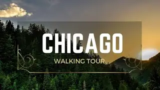 Best places to visit in Chicago #walkingvideo #vlogs #travelblogger #chicago4k #cubsbaseball