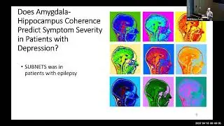 Amygdala-Hippocampus Coherence is a Biomarker of Predominant Symptom Sets in Patients w/ Depression
