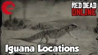 Iguana Locations rdr2 Online - Red Dead Online Iguanas Location Guide