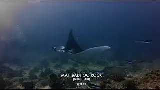 Maldives #08 - Mahibadhoo rock [South Ari]