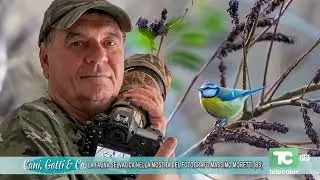 02 LA FAUNA SELVATICA NELLA MOSTRA DEL FOTOGRAFO MASSIMO MORETTI BS   08 12 2025