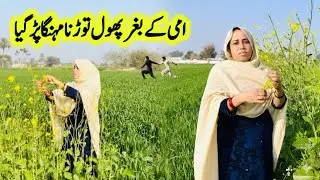 Village Living Women |Pure Real Simple Village Daily Routine |Pure￼ Village Vlog 