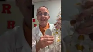 Tailbone Pain discussion on Facebook Live, May 7, 2019. All about Coccyx Pain.