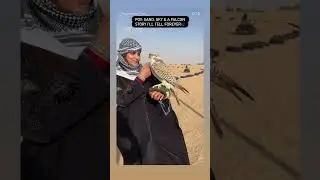 #dubai #desert #falcon #happymoments #dubailife #birds #love #happy #adventure