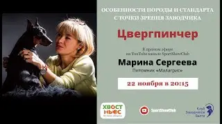 Цвергпинчер / Марина Сергеева. Питомник 
