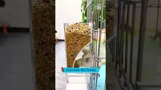 Automatischer, auslaufsicherer Vogelfutterspender