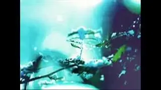 The Wars Of Roses Trailer