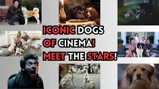 7 DOG BREEDS THAT STARRED IN ICONIC DOG MOVIES