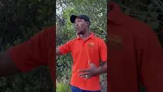Wodemaya Visits The World's Largest Single Drop Waterfall Is In Guyana 🇬🇾 Kaieteur Falls