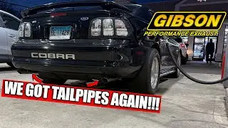 GIBSON PERFORMANCE Exhaust On 1998 SN95 Mustang Cobra (MWA MUFFLERS)