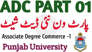 Associate Degree Commerce Part 1 Datesheet 2024 | Supply Exams 2024 PU | Punjab University